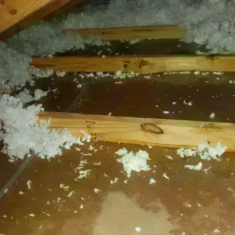 Attic Water Damage in Brawley, CA